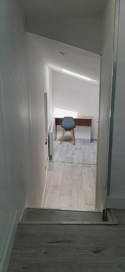 Appartement Netflix Centre De Vienne Pres De Lyon エクステリア 写真